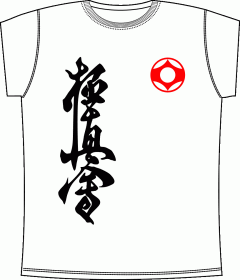 Прикольные футболки: Karate 2 White